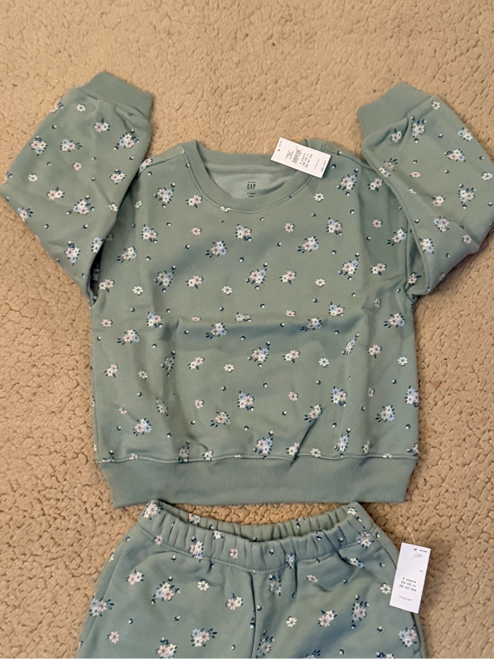 🤍Gap Toddler Vintage Soft Floral Sweat Set🤍 - Picture 3 of 6